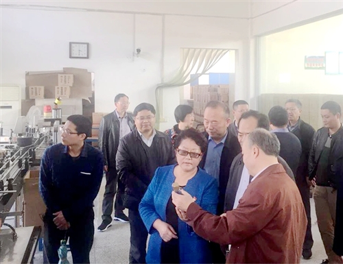 河南省人大常委会考察组来我县考察农业供给侧改革工作