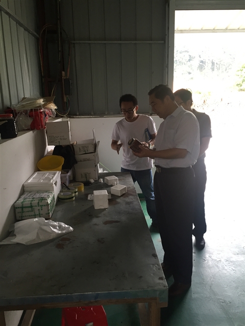 檀国文副主任率队开展电商示范县建设情况调研