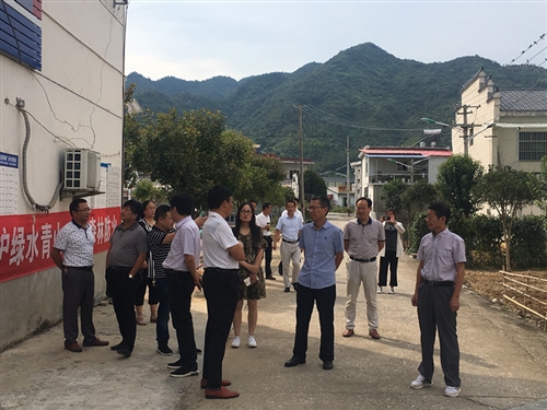 县人大常委会副主任刘泽带队调研美丽乡村建设情况