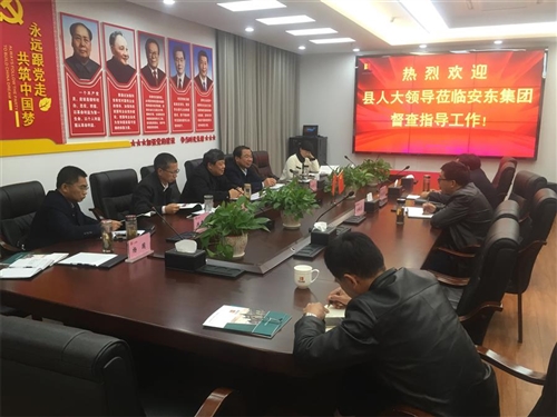 县人大常委会领导视察安东集团公司