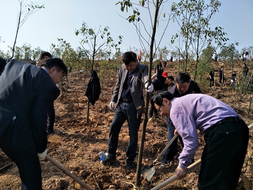 县人大机关组织干部职工积极参加义务植树活动