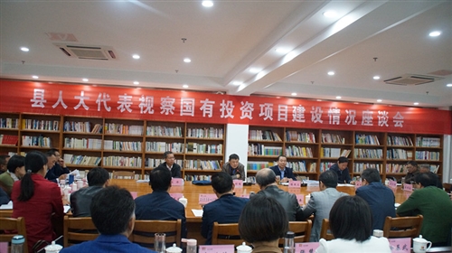 县人大常委会组织县人大代表视察国有投资项目建设情况
