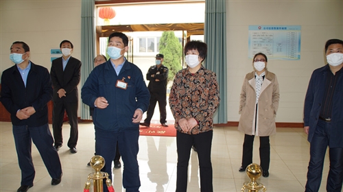 市人大常委会副主任王家莹赴东至县调研疫情防控和复工复产工作