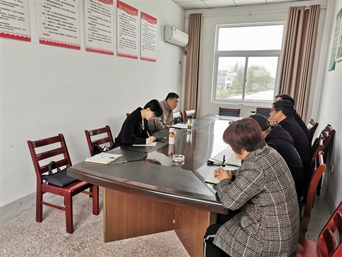 县人大常委会主任胡琼瑶 赴大渡口镇安全村督查指导脱贫攻坚工作