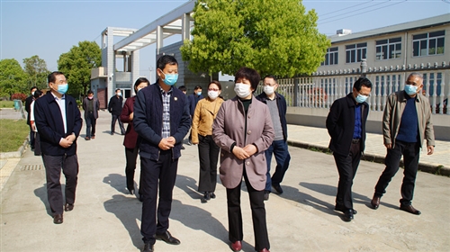 市人大常委会副主任王家莹到我县调研精神卫生工作