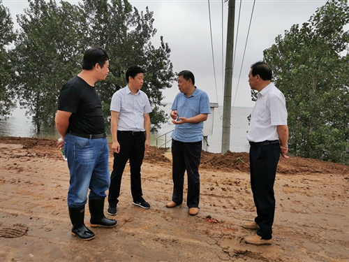 胡琼瑶检查指导长江干堤防汛抢险工作