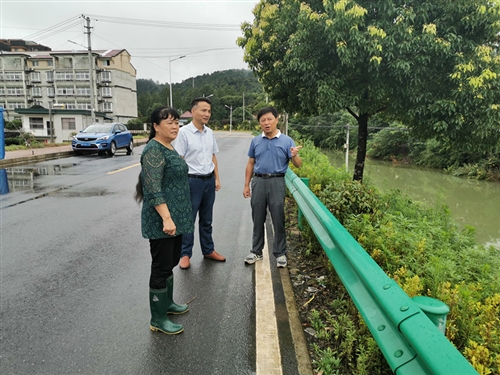县人大常委会副主任王金才赴尧渡镇检查指导防汛工作