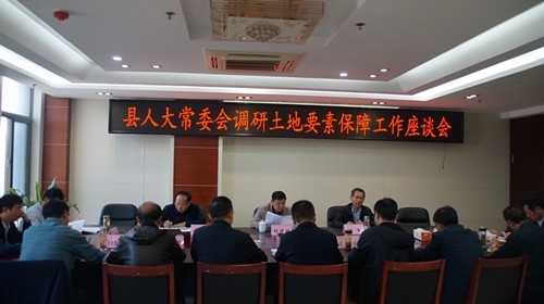 东至县人大常委会开展土地要素保障情况调研