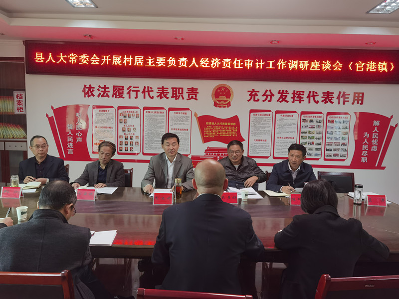 东至县人大常委会开展村居主要负责人经济责任审计工作调研_副本.jpg