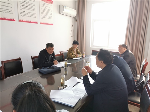 胡琼瑶深入大渡口镇督查指导脱贫攻坚工作