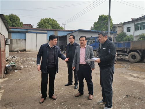 胡琼瑶赴大渡口镇督导检查生态环境突出问题整改情况