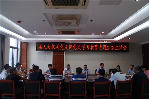 县人大机关党支部召开党史学习教育专题组织生活会
