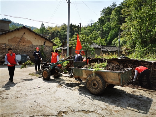 县人大办赴香隅镇白岭村开展农村人居环境整治志愿服务活动