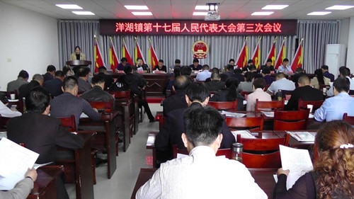 洋湖镇第十七届人民代表大会第三次会议胜利召开