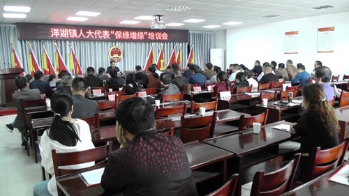 洋湖镇人大举办“保绿增绿”培训活动