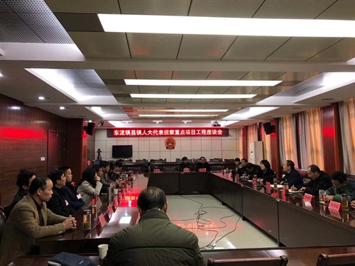 东流镇组织人大代表视察重点工程项目建设