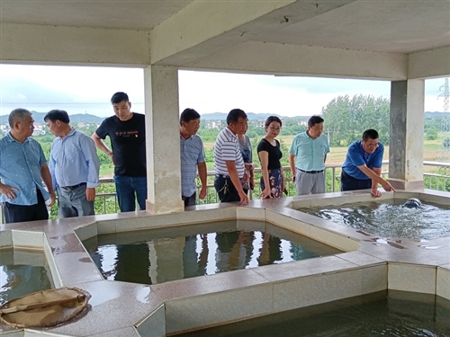 龙泉镇组织人大代表开展自来水建设管护情况专题调研
