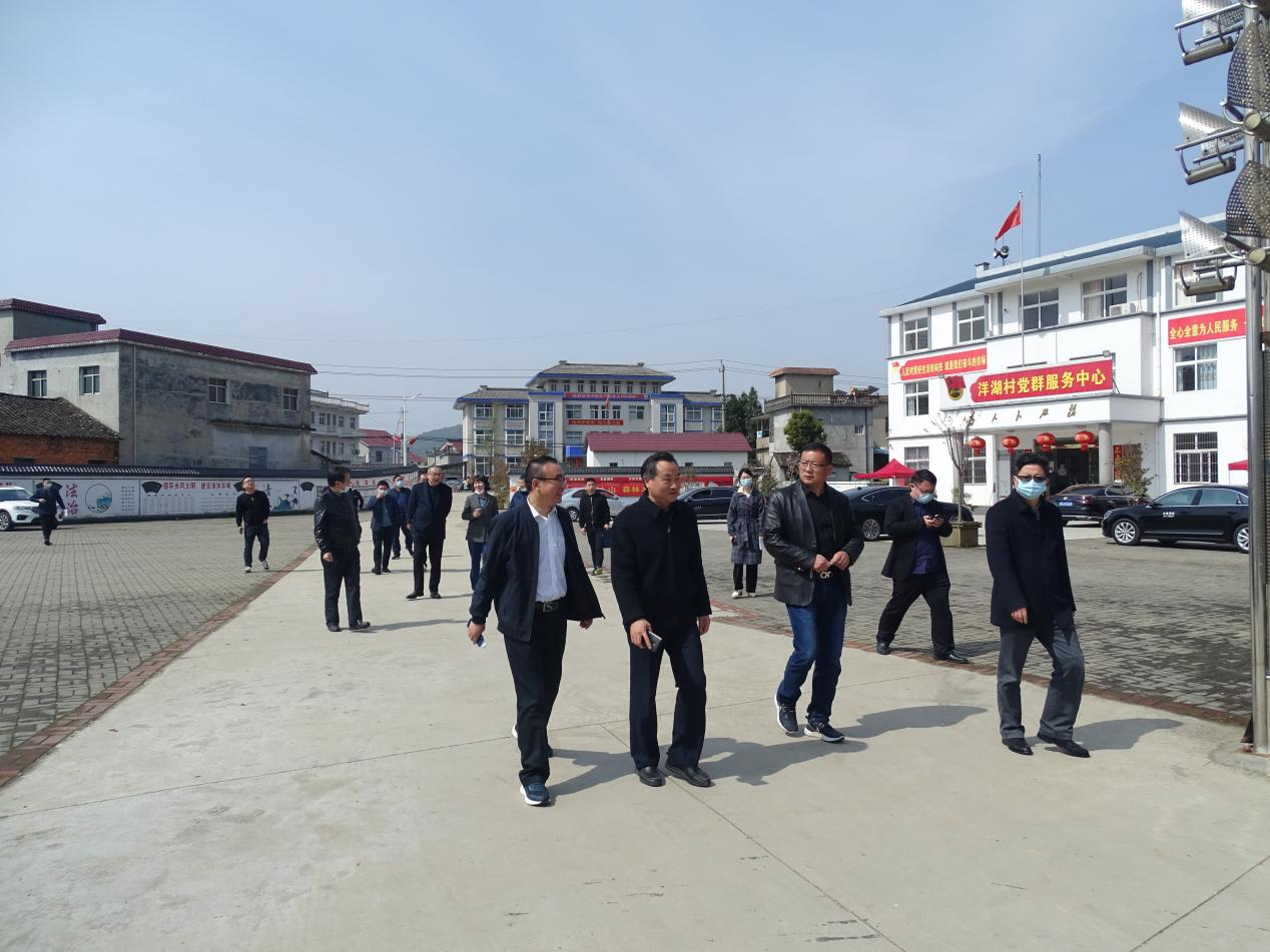 市人大常委会副主任程国清率队到洋湖镇开展农村弱电整治工作调研