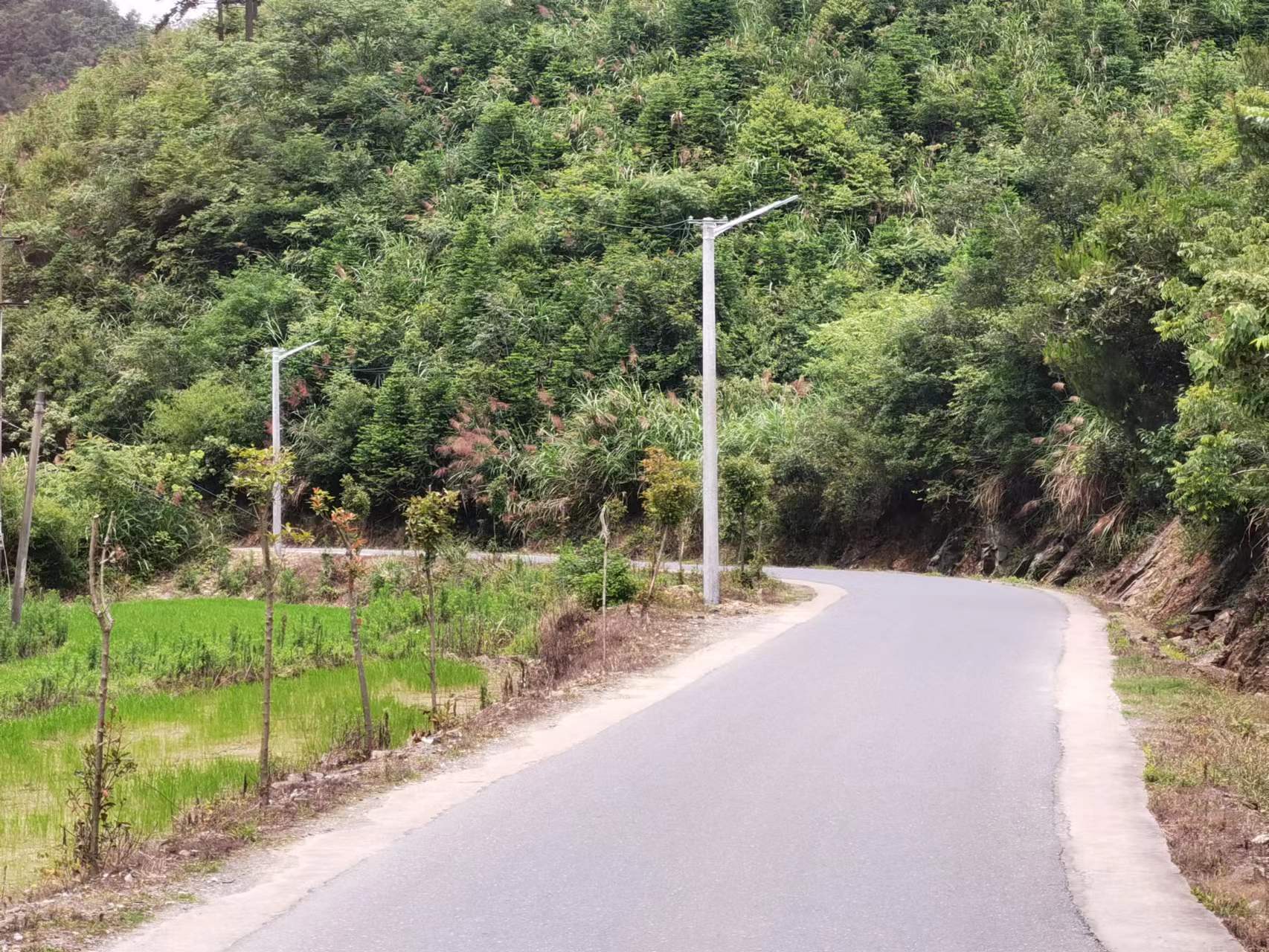 东至县泥溪镇：代表建议通民意 安装路灯暖民心