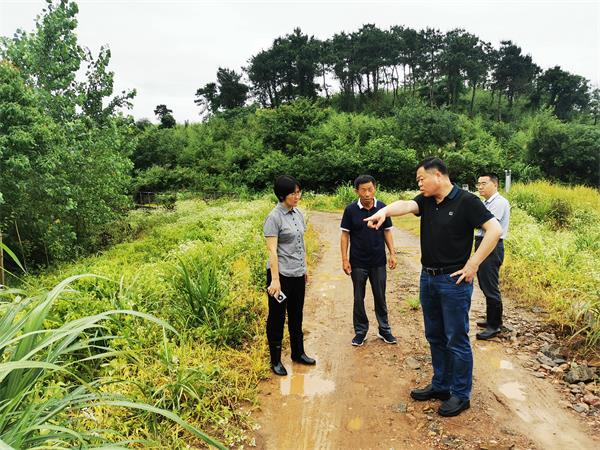 县人大常委会负责同志深入联系乡镇督查防汛工作