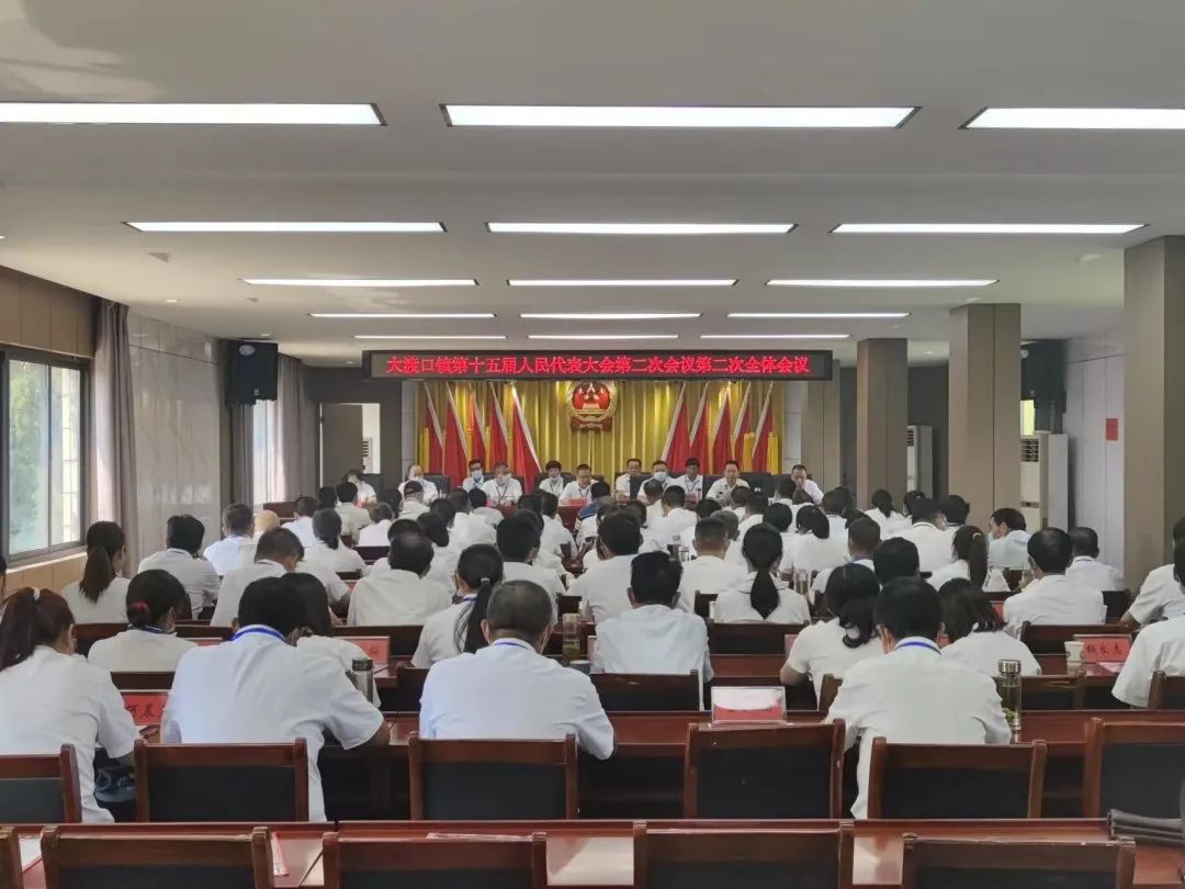 大渡口镇召开第十五届人民代表大会二次会议