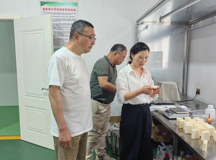 【奋斗者 正青春】市人大代表姚艳红：和油茶一起“长”在古楼村