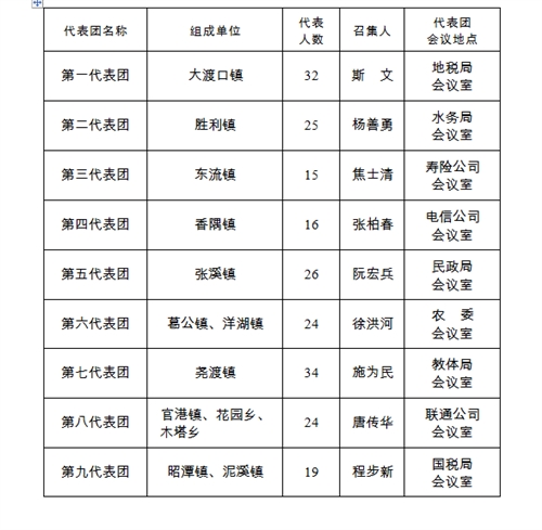 各代表团组成情况表